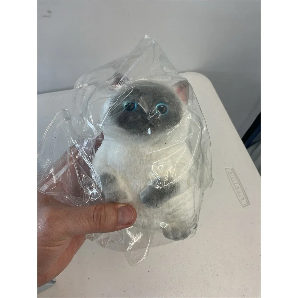 Cat Taba Squishy Cat,  Squishy Cat for Adult/Kids, Stress Relief 6inch‎